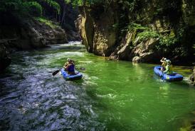 Boat paddling on green river