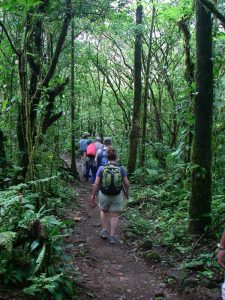 Rainforest Costa Rica